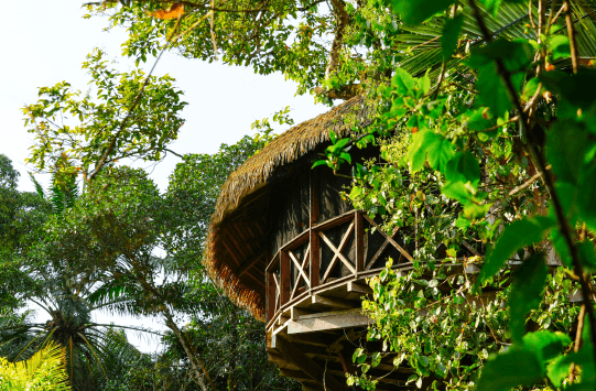 Cabin with threes